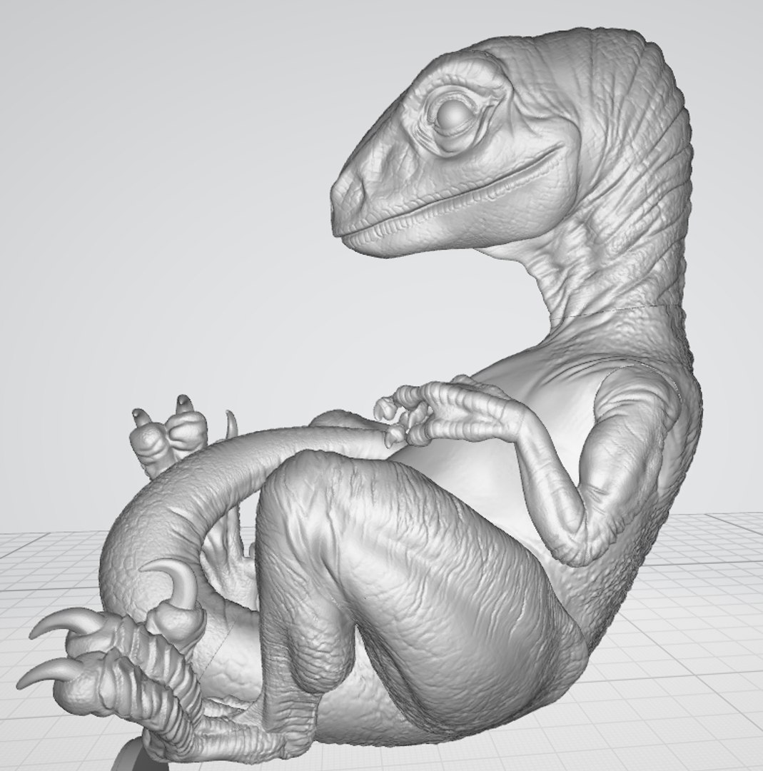 Velociraptor Baby Ready Print 3D - TurboSquid 1462608