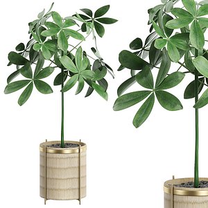 3D potted plant 23 model