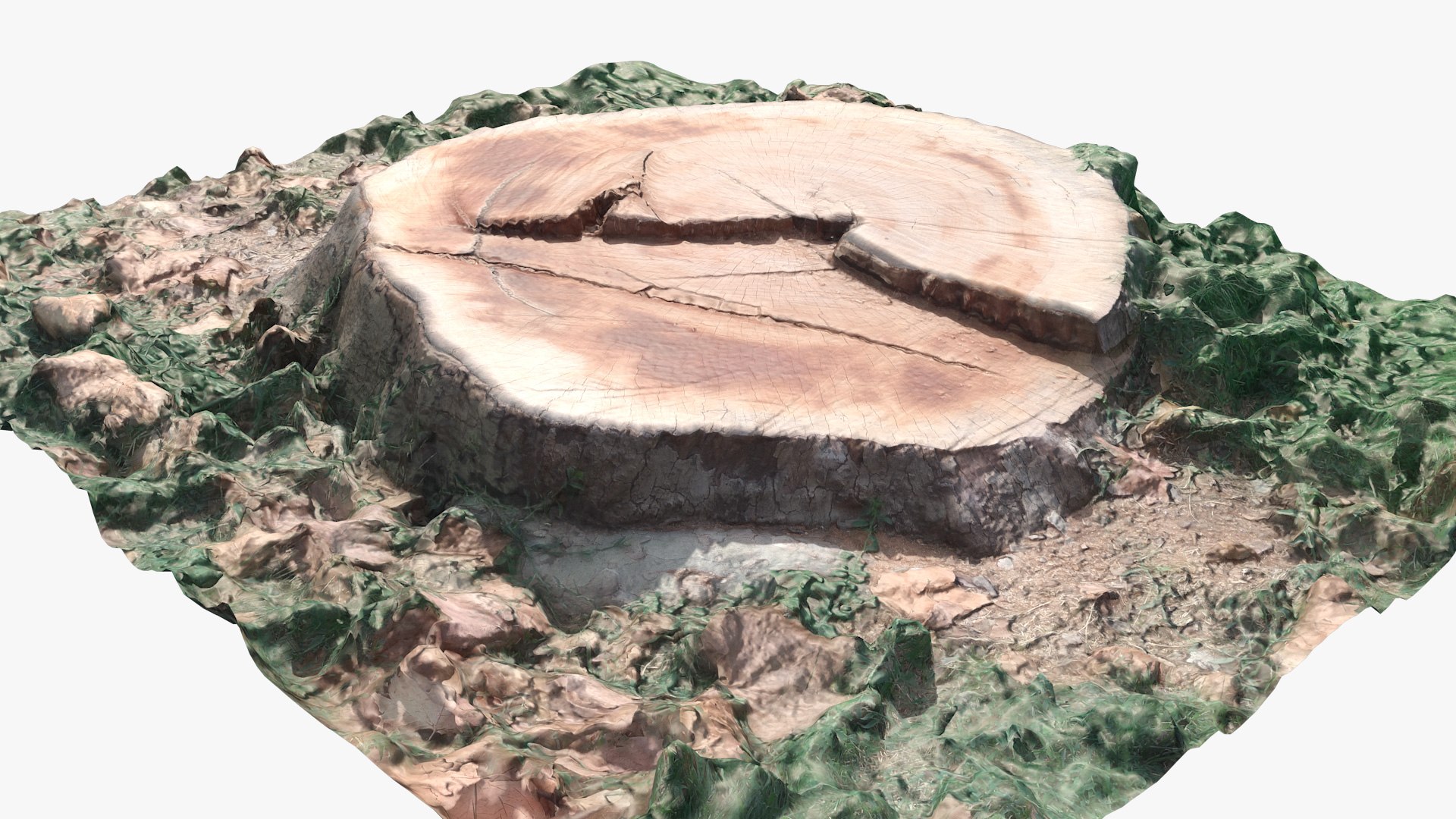stump 002 scan 3D model https://p.turbosquid.com/ts-thumb/Rm/RETRrr/02ZVlVAG/005/jpg/1597836067/1920x1080/fit_q87/e2e97e08ed8aeef474a290fd75d5d8f8e935715e/005.jpg