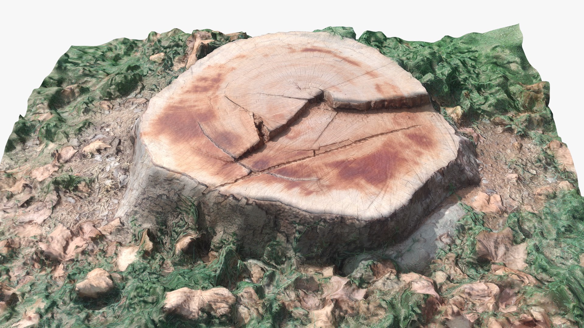 stump 002 scan 3D model https://p.turbosquid.com/ts-thumb/Rm/RETRrr/A6FtEehr/003/jpg/1597836067/1920x1080/fit_q87/3452b3b296cdc0c713f39994256b1ae94dec38d0/003.jpg