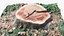 Tree Stump Scan 002