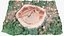 Tree Stump Scan 002