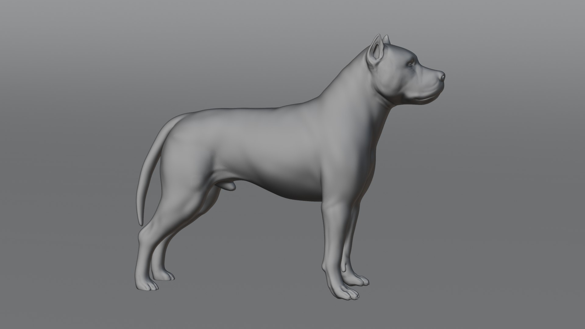 3D model Dog Staffordshire Bull Terrier https://p.turbosquid.com/ts-thumb/Rm/gpxMY6/05/preview10/png/1724990146/1920x1080/fit_q87/5cd2d0e31a875d65ec66be6b0f04e4ed991c1744/preview10.jpg