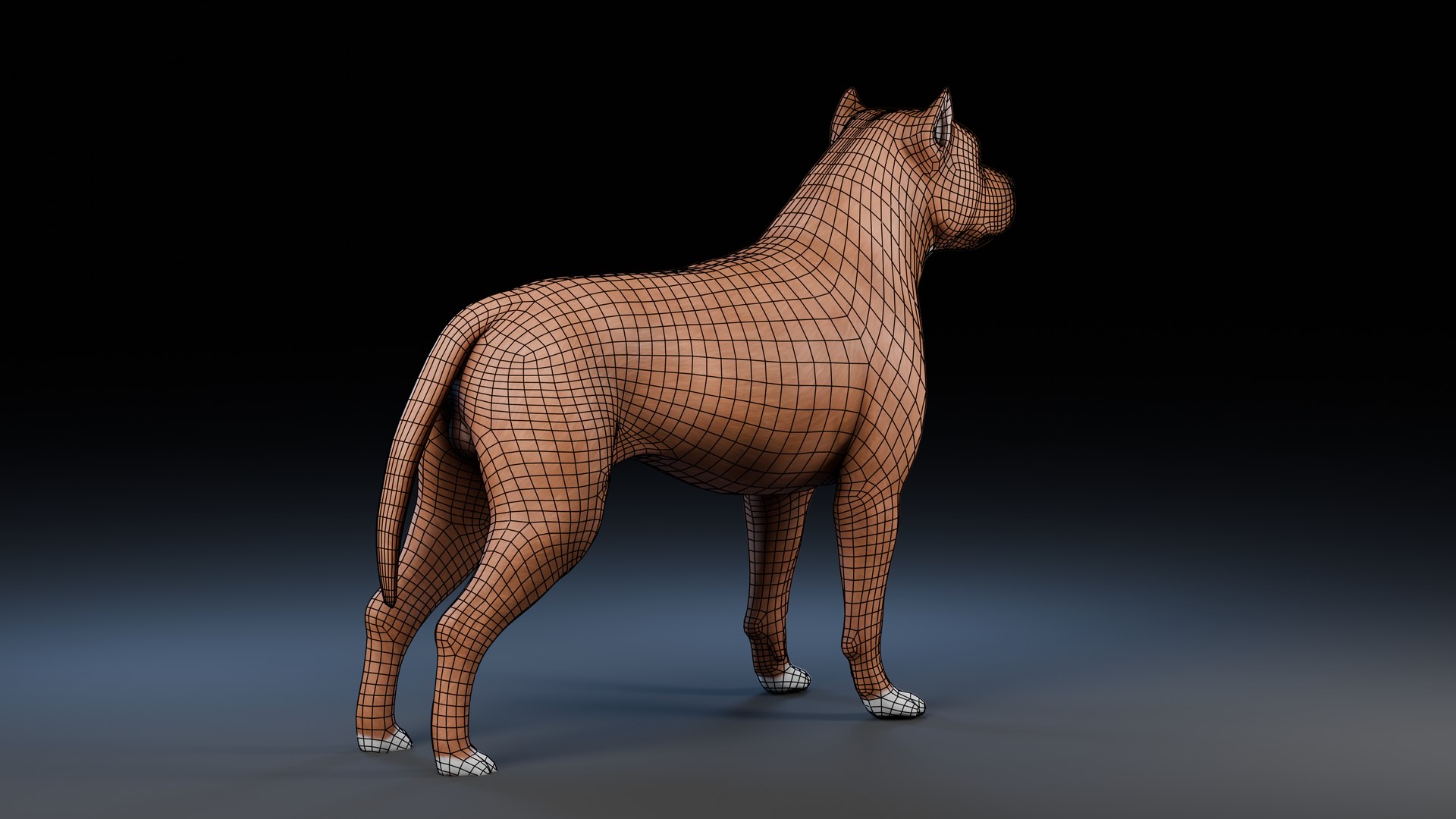 3D model Dog Staffordshire Bull Terrier https://p.turbosquid.com/ts-thumb/Rm/gpxMY6/4P/preview4_wireframe/png/1724990142/1920x1080/fit_q87/0e8768d667912f61439039f275cada46f8c98e48/preview4_wireframe.jpg