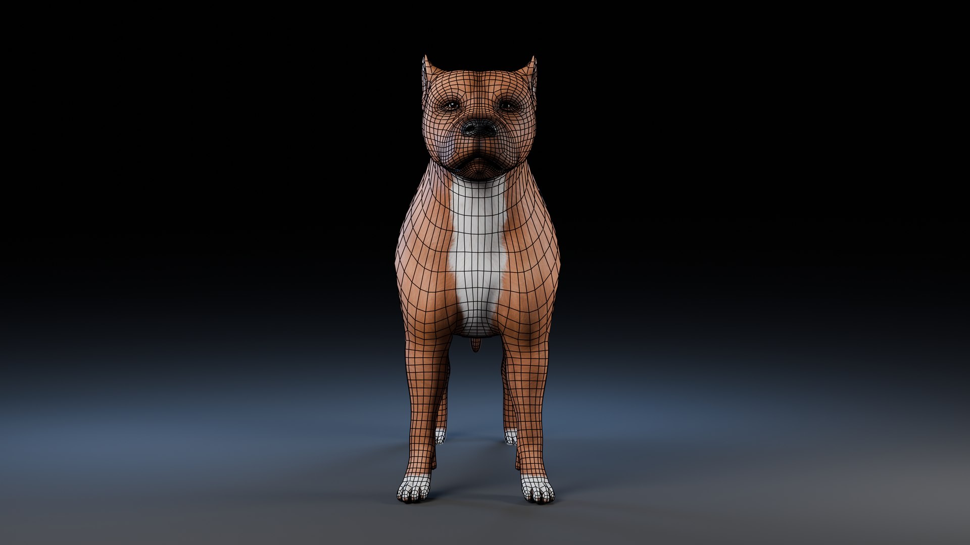 3D model Dog Staffordshire Bull Terrier https://p.turbosquid.com/ts-thumb/Rm/gpxMY6/7D/preview16/png/1724990152/1920x1080/fit_q87/d5cba2e45fb0de6c8f314a07f91e4e0a7864f2a8/preview16.jpg