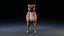 Perro Staffordshire Bull Terrier