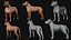 Perro Staffordshire Bull Terrier