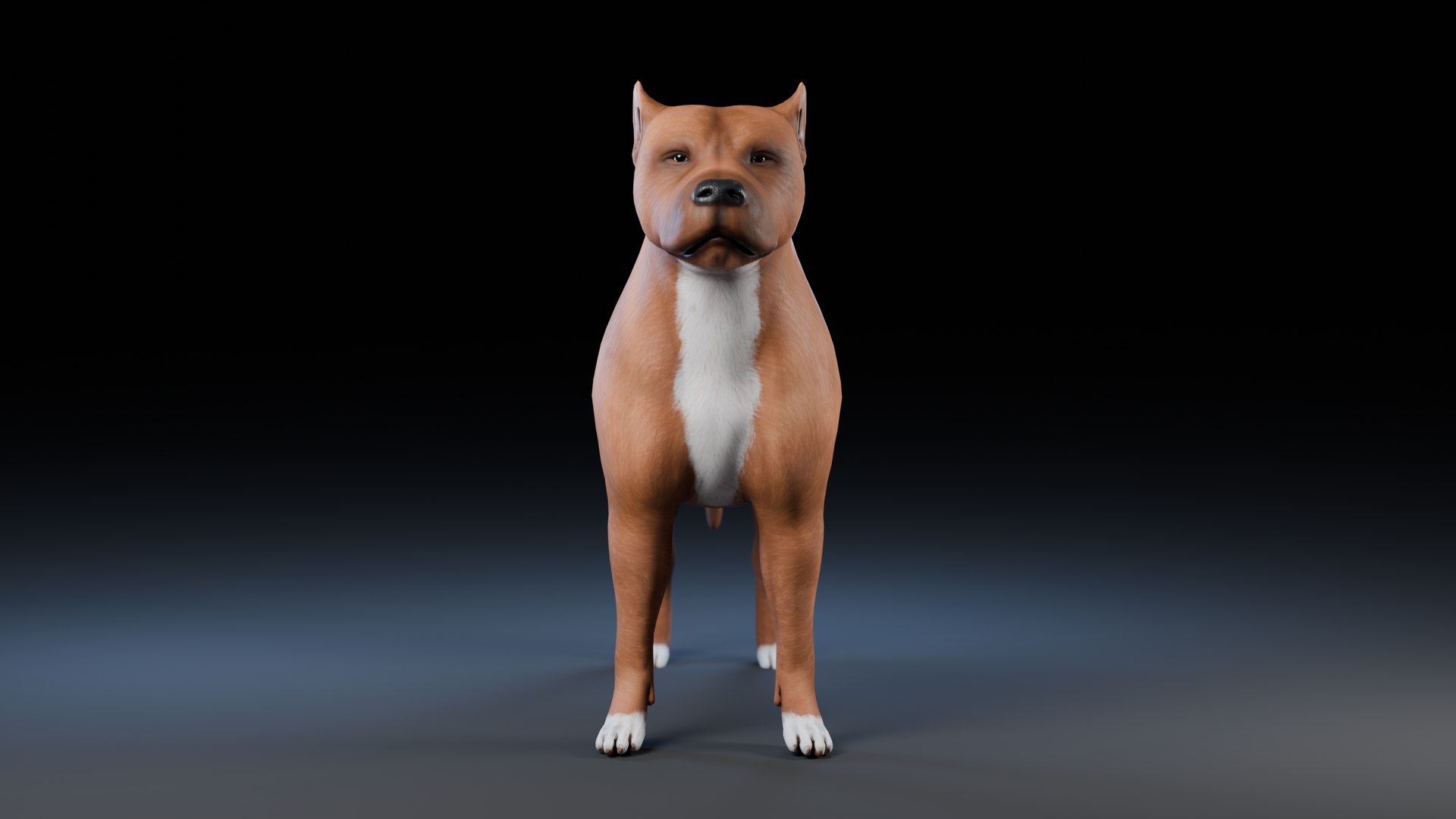 3D model Dog Staffordshire Bull Terrier https://p.turbosquid.com/ts-thumb/Rm/gpxMY6/Dy/preview15/png/1724990150/1920x1080/fit_q87/67bbd4c779406505cbbc47de44c19920be6046c9/preview15.jpg