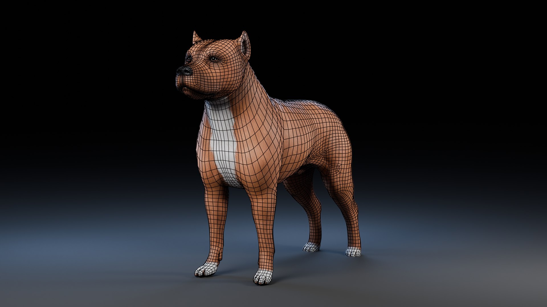 3D model Dog Staffordshire Bull Terrier https://p.turbosquid.com/ts-thumb/Rm/gpxMY6/Hk/preview1_wireframe/png/1724990137/1920x1080/fit_q87/8907b4af05a6f42c9d3270eb4b04fd0f55a22524/preview1_wireframe.jpg