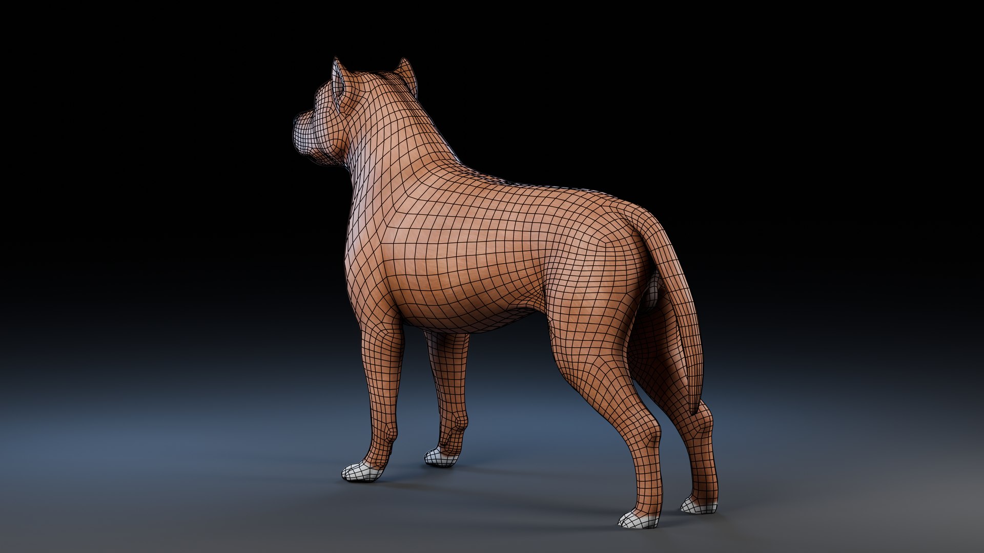 3D model Dog Staffordshire Bull Terrier https://p.turbosquid.com/ts-thumb/Rm/gpxMY6/w7/preview3_wireframe/png/1724990141/1920x1080/fit_q87/aab8a866792301f8e8af3099ae628b53e0efbaf3/preview3_wireframe.jpg