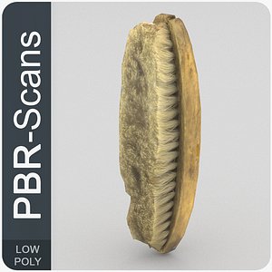 107_brush-low