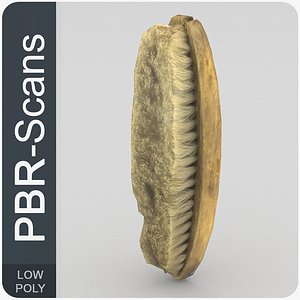 107_brush-low