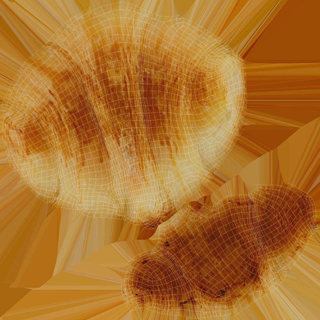 Croissants Collection 3D model https://p.turbosquid.com/ts-thumb/Rm/k3i5FH/OW/croissant_d0004/jpg/1684489048/1920x1080/fit_q87/76a859e07970729f8fb186a35762f7ff4f7dad88/croissant_d0004.jpg