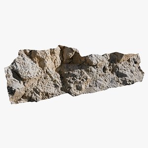 3D Cliff Wall 1 Scanned Stemcell