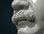Albert Einstein bust
