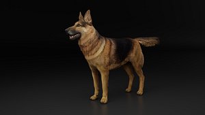 German Shepherd Dog 3D model