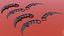 karambit