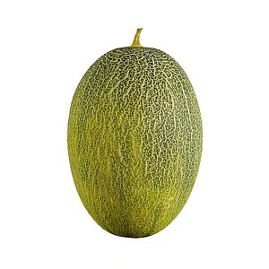 3D Melon