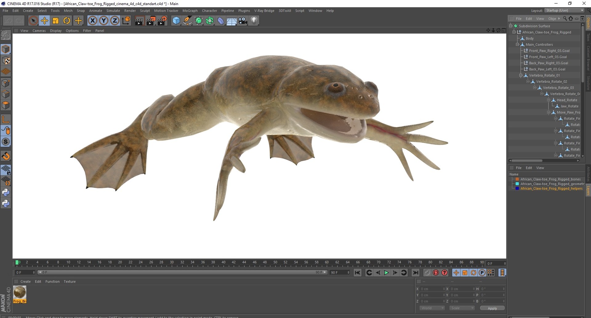 African Claw-toe Frog Rigged for Cinema 4D 3D model - TurboSquid 2146958