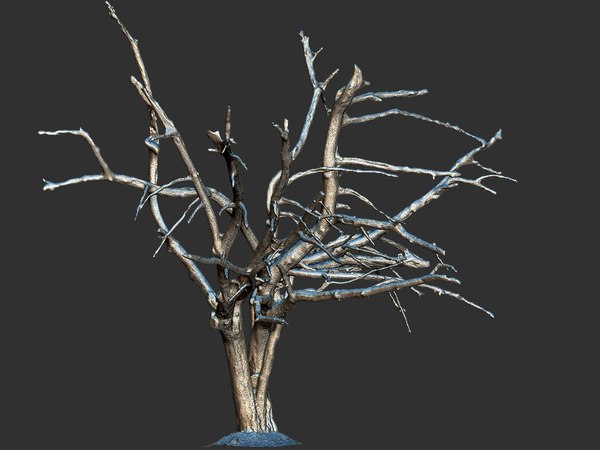 3D old forest pack 3 - TurboSquid 1353995