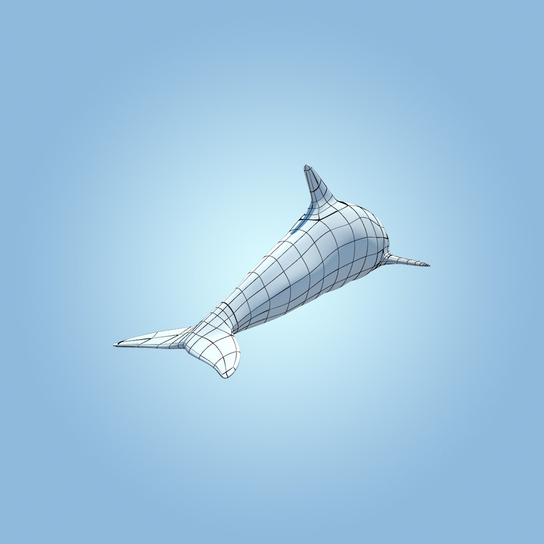 dolphin animation flippers 3d max https://p.turbosquid.com/ts-thumb/Rn/V8knut/EW4yNyRP/dolphin_sss0007copy/jpg/1345838205/1920x1080/fit_q87/7df3abd379a6b8c6e5e196640ec177a0dd1103de/dolphin_sss0007copy.jpg