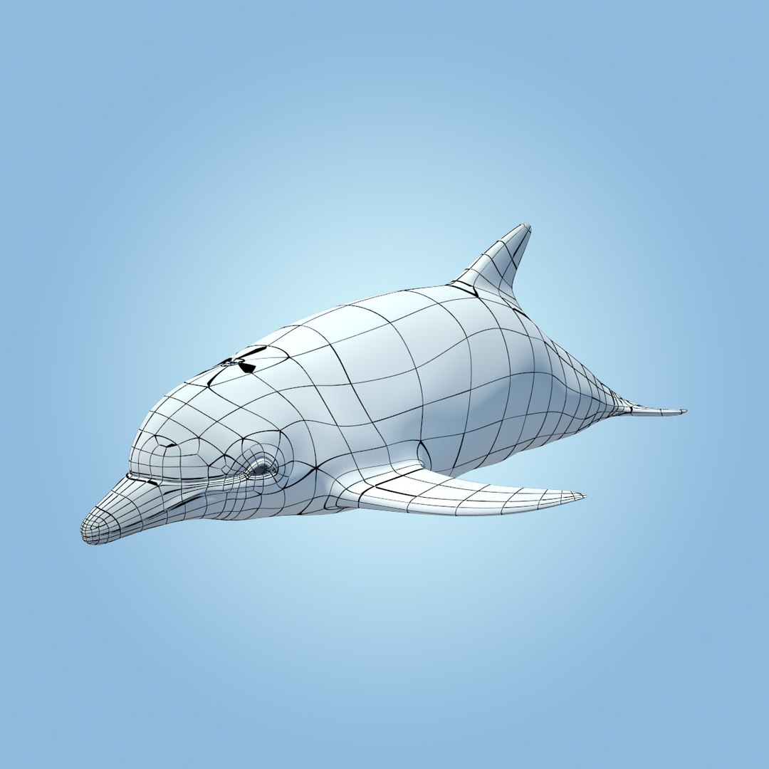 dolphin animation flippers 3d max https://p.turbosquid.com/ts-thumb/Rn/V8knut/JXcH0tSW/dolphin_sss0001copy/jpg/1345838187/1920x1080/fit_q87/2ed1e1449e6156835cb4215727469f4885c88ee8/dolphin_sss0001copy.jpg
