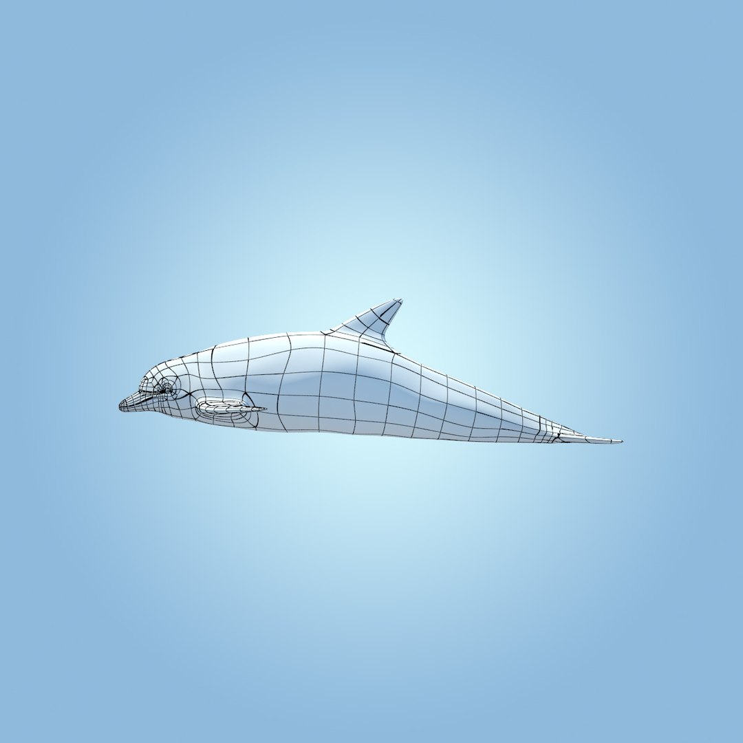 dolphin animation flippers 3d max https://p.turbosquid.com/ts-thumb/Rn/V8knut/W7tV1Nvy/dolphin_sss0008copy/jpg/1345838209/1920x1080/fit_q87/0a5d9681c34c2be183bc909591f199fa72623ef6/dolphin_sss0008copy.jpg