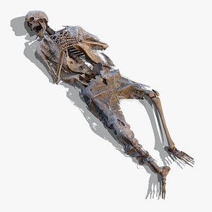 3D Skeleton Remains 1 model