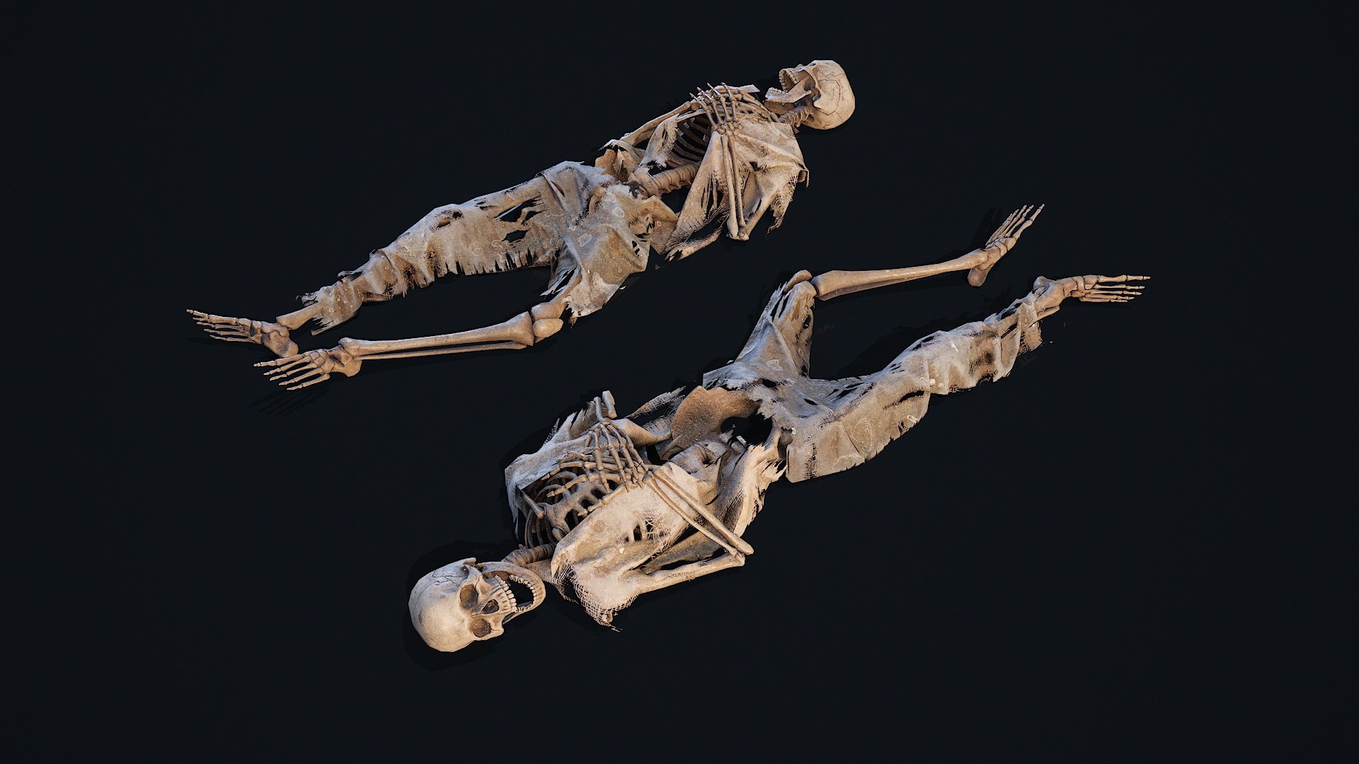 3D Skeleton Remains 1 Model - TurboSquid 2380067