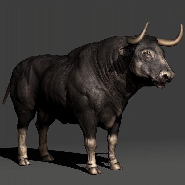 Bull 3d Models For Download Turbosquid 3597