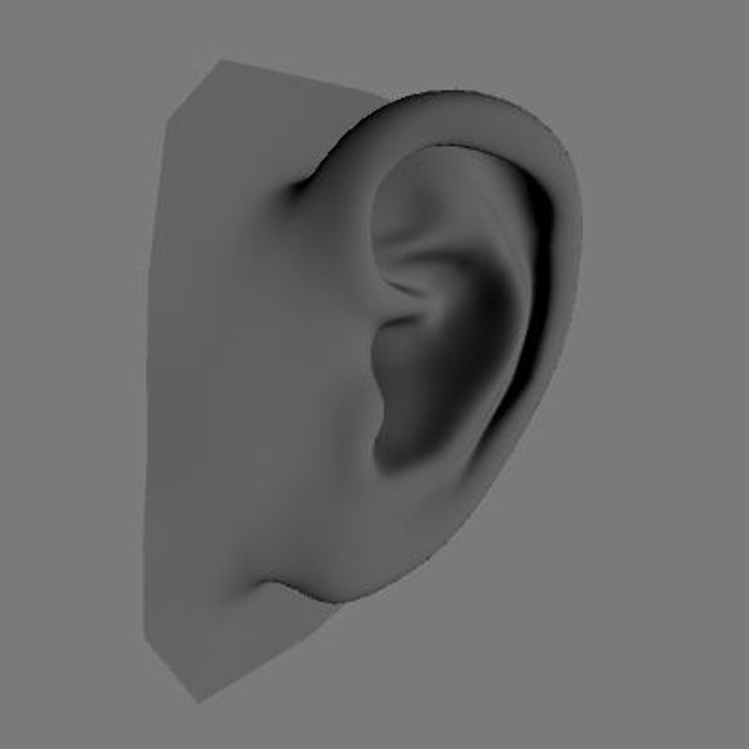 Free Ear 3d Model