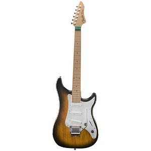Fender Electric Guitar