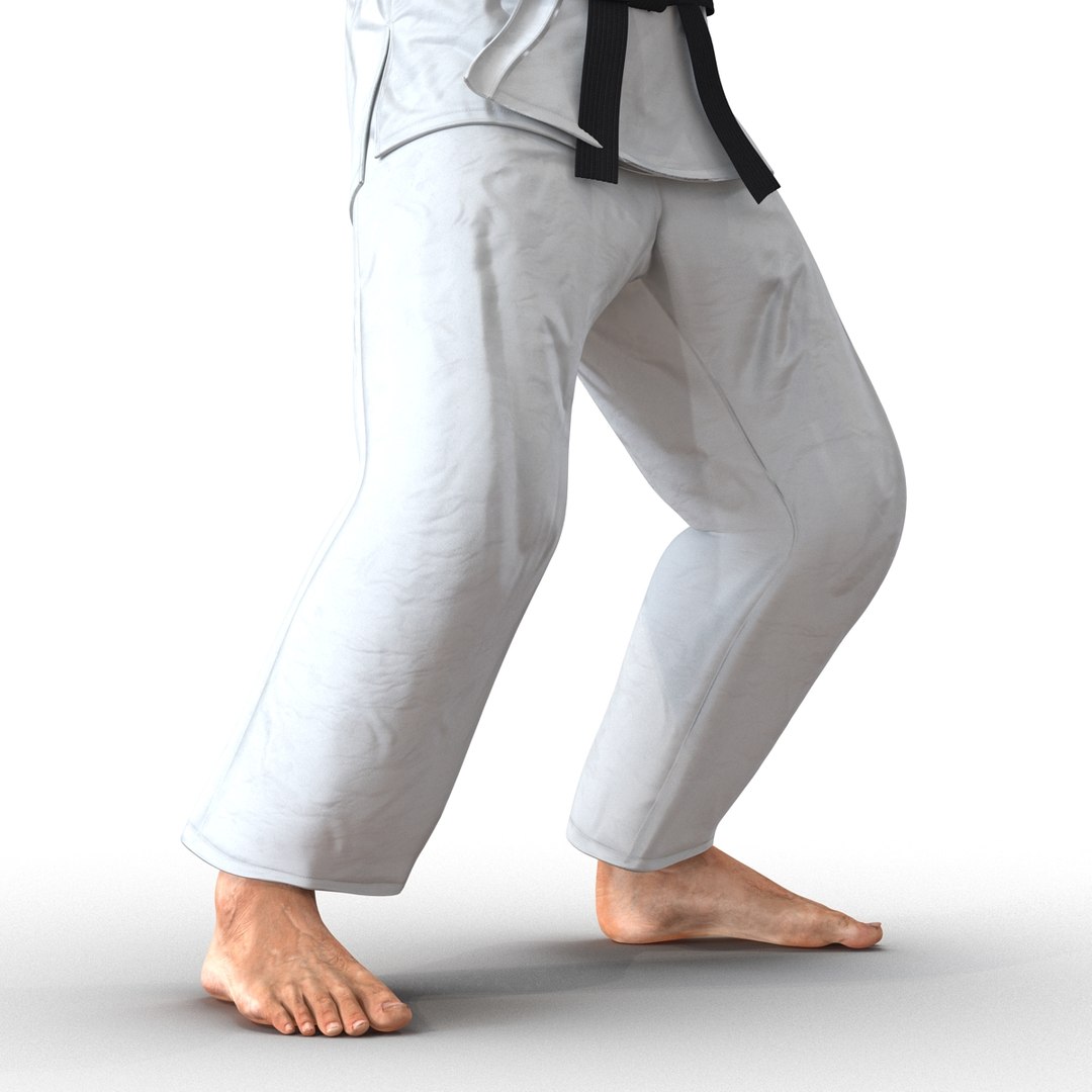 3d karate fighter rigged https://p.turbosquid.com/ts-thumb/Ro/HfieDc/IOQyij9C/karatefighterriggedmayamb3dmodel026/jpg/1487091177/1920x1080/fit_q87/fdfc0323686796adde73bdfcd197bd4f3d39ba8e/karatefighterriggedmayamb3dmodel026.jpg