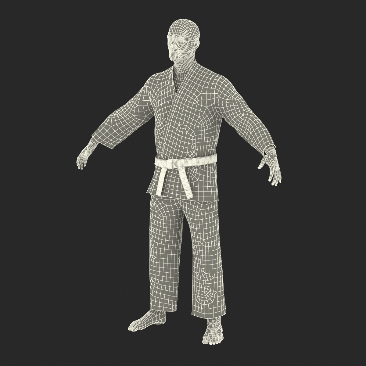 modelo 3d Karate luchador aparejado por maya - TurboSquid 1123528