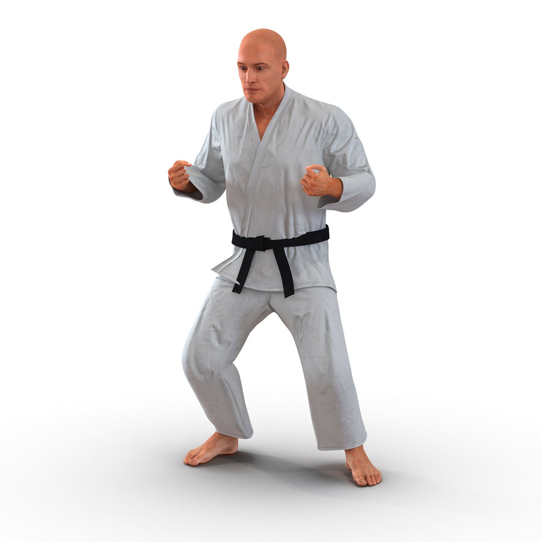 3d karate fighter rigged https://p.turbosquid.com/ts-thumb/Ro/HfieDc/xsKcz8o6/karatefighterriggedmayamb3dmodel002/jpg/1487091176/1920x1080/fit_q87/f5f3b5664dcb87ac9156946afc27904d8802c5e4/karatefighterriggedmayamb3dmodel002.jpg