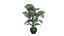Modèle 3D de plantes de palmiers Areca pour le modèle 3D Unity
