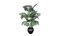 Modèle 3D de plantes de palmiers Areca pour le modèle 3D Unity
