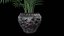 Modèle 3D de plantes de palmiers Areca pour le modèle 3D Unity