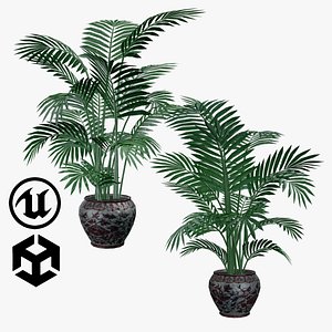 Areca palm plants 3d model for unity 3D model 3D model
