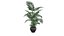 Modèle 3D de plantes de palmiers Areca pour le modèle 3D Unity