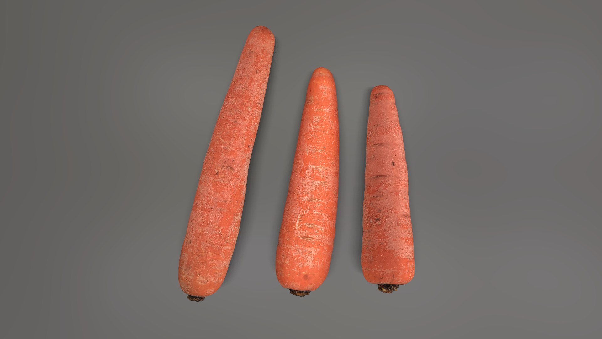 3D 3 Carrots https://p.turbosquid.com/ts-thumb/Ro/KDp9k8/76/screenshot003/png/1737130604/1920x1080/fit_q87/d64becd73bdf0f6845aeb74f62721d58ab3859ef/screenshot003.jpg