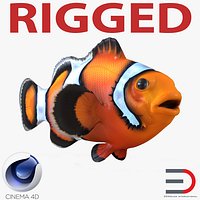 Clownfish Rigged for Cinema 4D