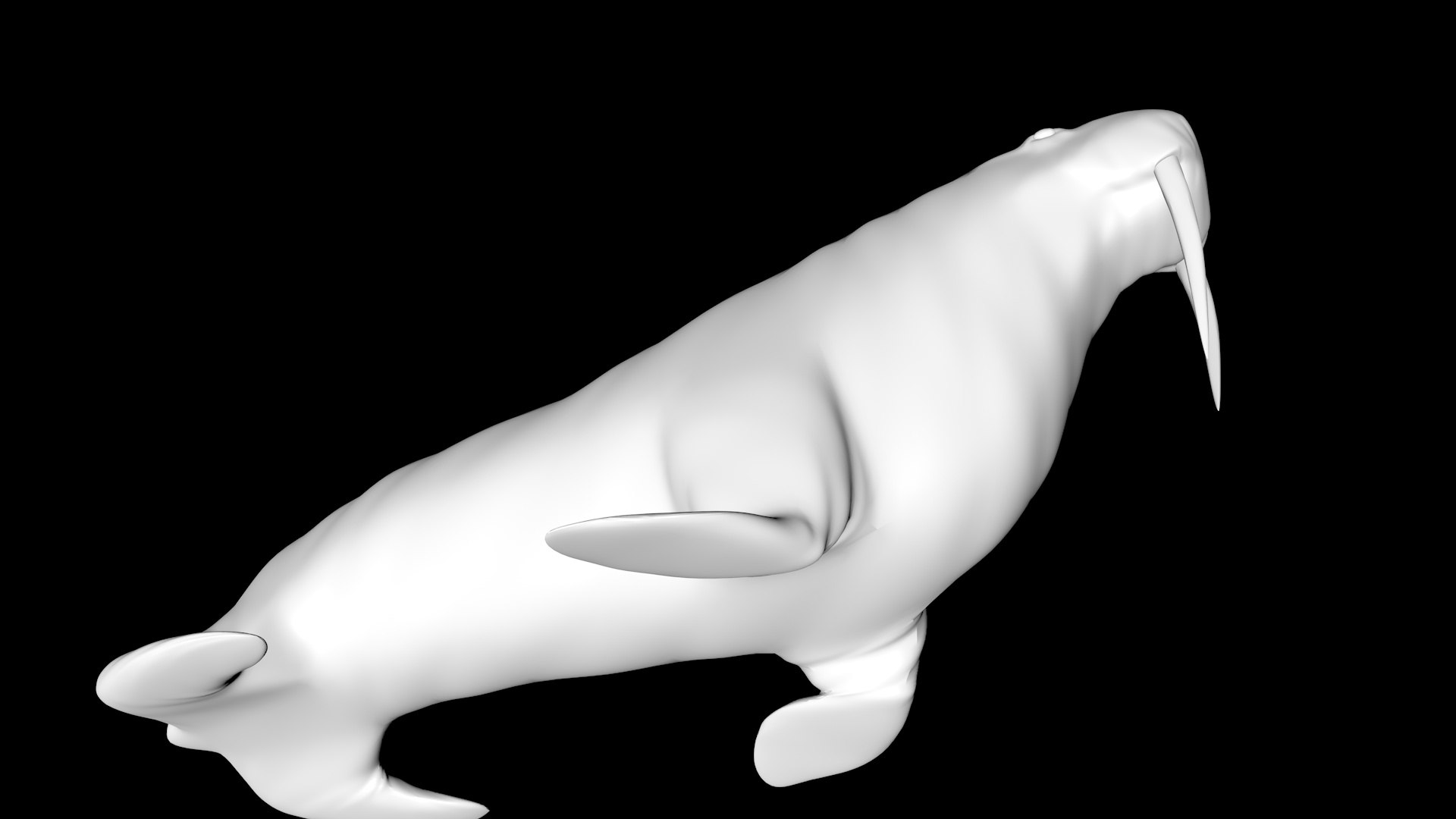 3D walrus https://p.turbosquid.com/ts-thumb/Ro/Scpqjr/k4/5/jpg/1612935609/1920x1080/fit_q87/571b03772c35a827f3ee812a221ab161c7de20e3/5.jpg