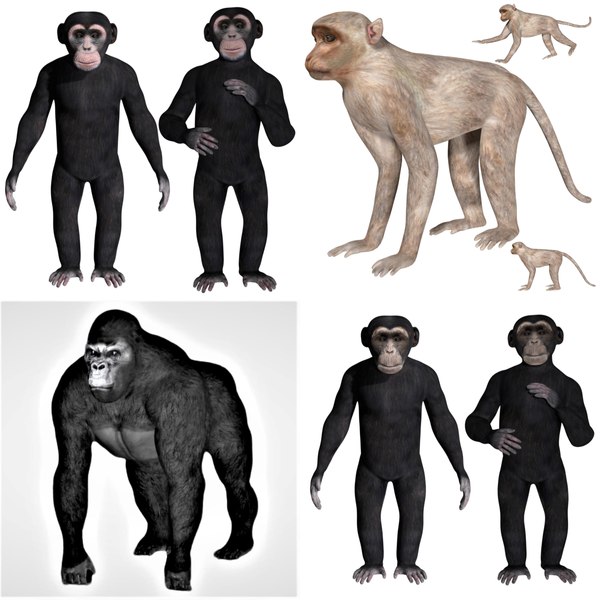 animal mammal monkey 3d 3ds