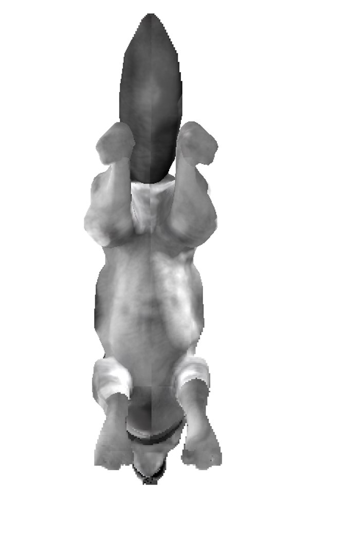 free wolf l 3d model https://p.turbosquid.com/ts-thumb/Rp/Etb2xJ/uBDVyClT/6/png/1453612243/1920x1080/fit_q87/9d87b0f977f2c080b06545d66b5c81c796e1972b/6.jpg