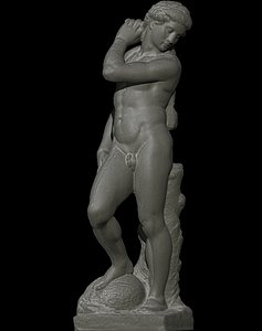 apollo michelangelo model