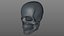 골드 SKULL_L774