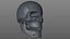 골드 SKULL_L774