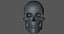 골드 SKULL_L774