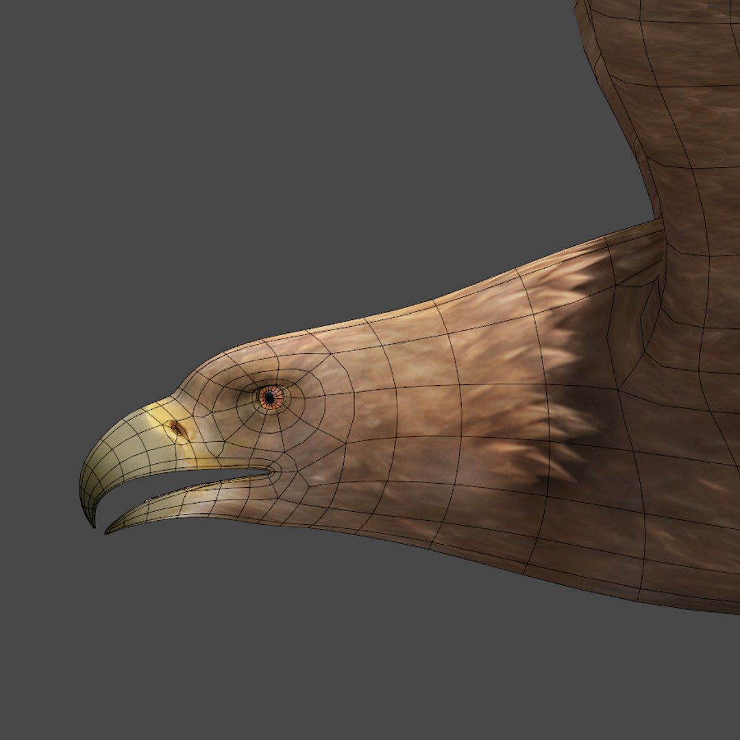3d max golden eagle https://p.turbosquid.com/ts-thumb/Rp/jaaeFp/3PmvRKvK/goldeneagle08/jpg/1384576150/1920x1080/fit_q87/bfc16625c2cc39977ff78752e20f5f6036426538/goldeneagle08.jpg
